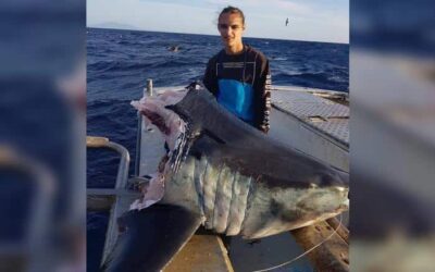 SHARK BAIT: FISHERMAN SNAGS 500LB MAKO SHARK — THEN A MYSTERY MONSTER BITES IT IN HALF