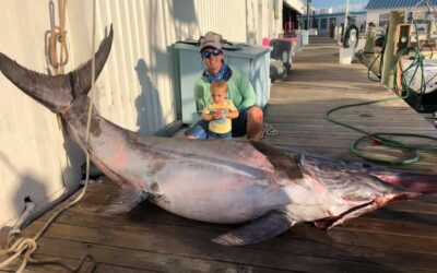 8 HOUR BATTLE LANDS FLORIDA MAN A 758-POUND SWORDFISH