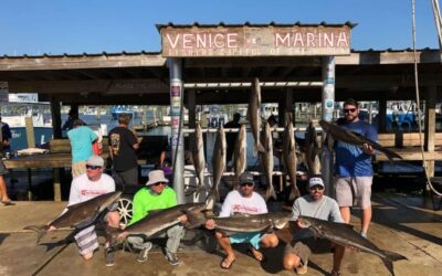 MONSTER 172-POUND COBIA SPEARED IN BRAZIL